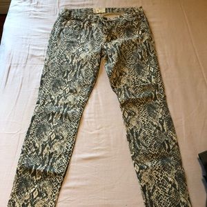 Snake print pants
